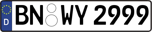 BN-WY2999
