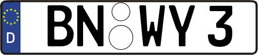BN-WY3