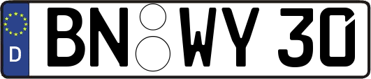 BN-WY30