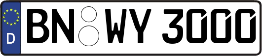 BN-WY3000