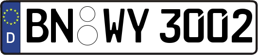 BN-WY3002