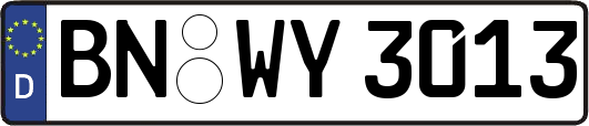 BN-WY3013