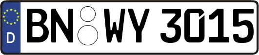 BN-WY3015