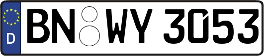 BN-WY3053