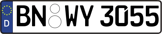 BN-WY3055