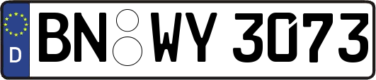 BN-WY3073