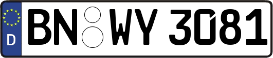 BN-WY3081