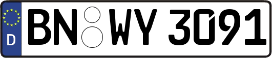 BN-WY3091