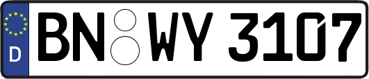 BN-WY3107