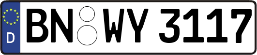 BN-WY3117