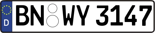 BN-WY3147