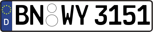 BN-WY3151