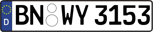 BN-WY3153