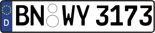 BN-WY3173