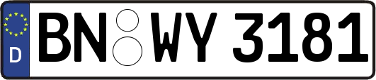 BN-WY3181