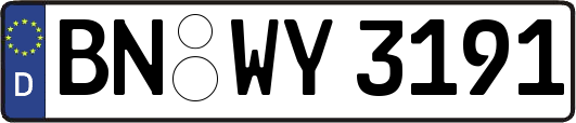 BN-WY3191