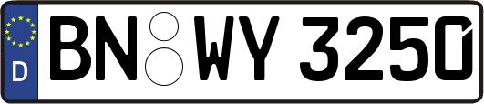 BN-WY3250