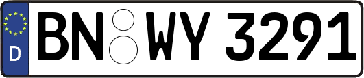 BN-WY3291
