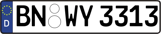 BN-WY3313