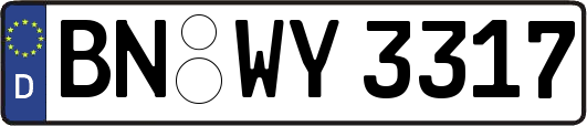 BN-WY3317