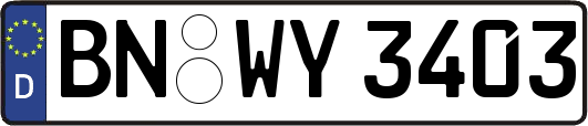 BN-WY3403