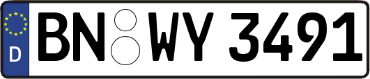 BN-WY3491