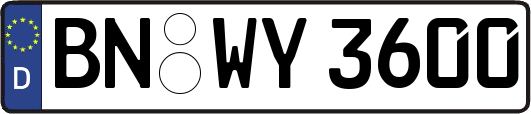 BN-WY3600