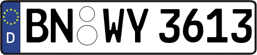 BN-WY3613
