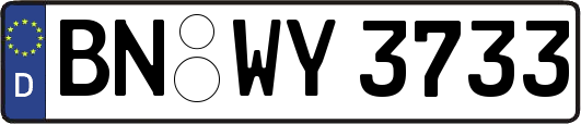 BN-WY3733