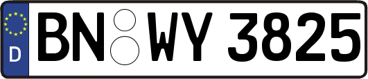 BN-WY3825