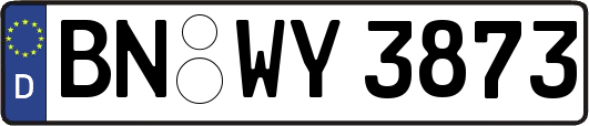 BN-WY3873