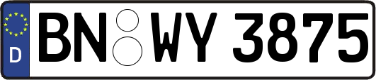 BN-WY3875