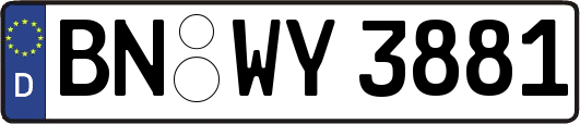 BN-WY3881