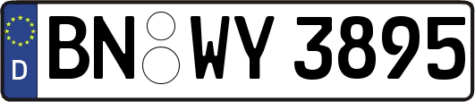 BN-WY3895