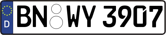 BN-WY3907