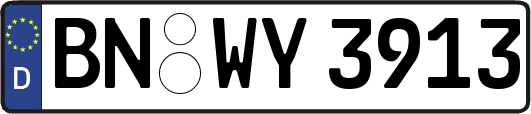 BN-WY3913