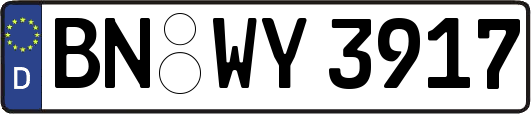 BN-WY3917