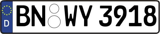 BN-WY3918