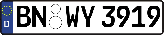 BN-WY3919