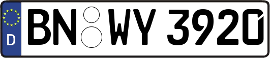 BN-WY3920