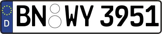 BN-WY3951