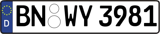 BN-WY3981