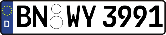 BN-WY3991