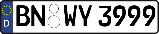BN-WY3999