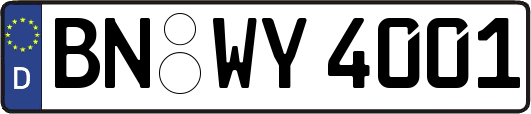 BN-WY4001