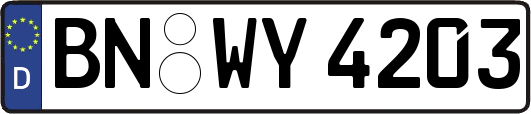 BN-WY4203
