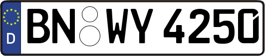 BN-WY4250