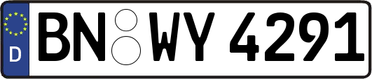 BN-WY4291