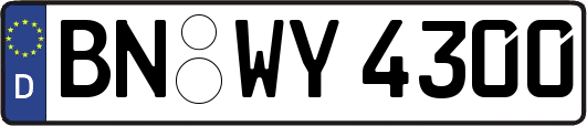 BN-WY4300