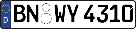 BN-WY4310
